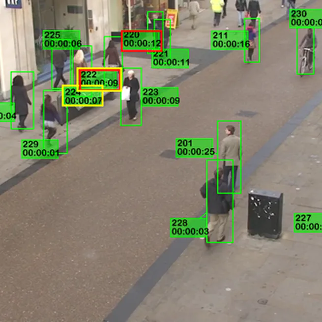 Intelligent Video Analytics & Surveillance Systems